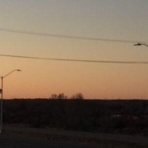 Meet your Posher, Mia